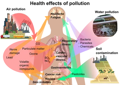 Air Quality System 1